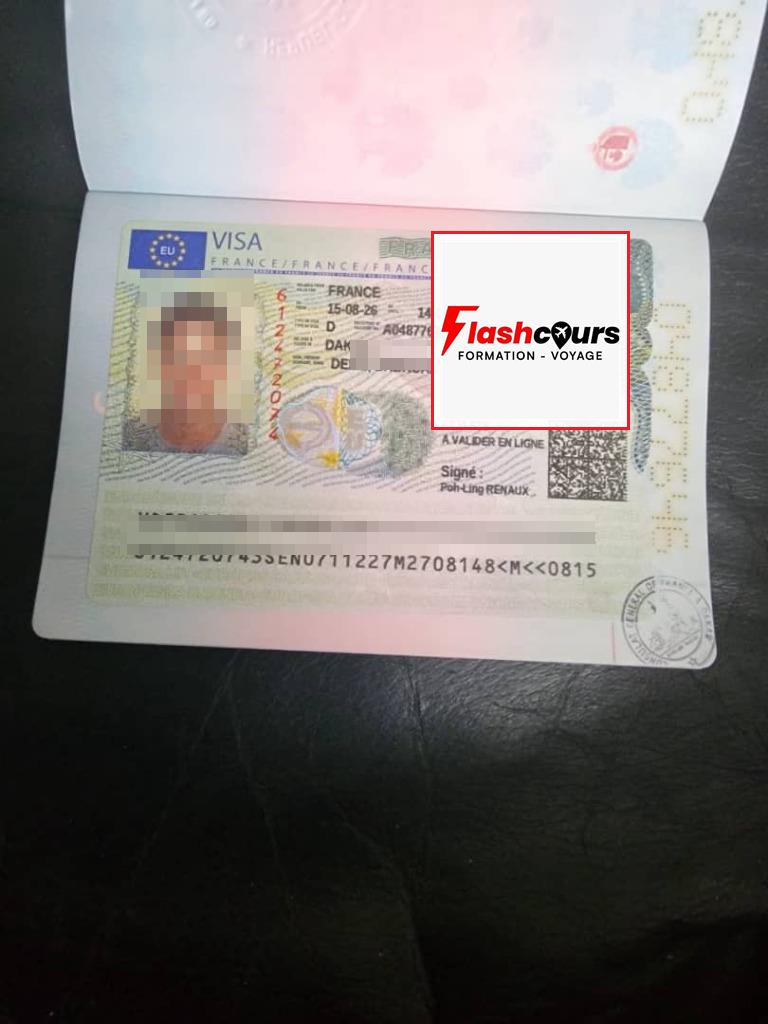 Visa accordé — FLASHCOURS